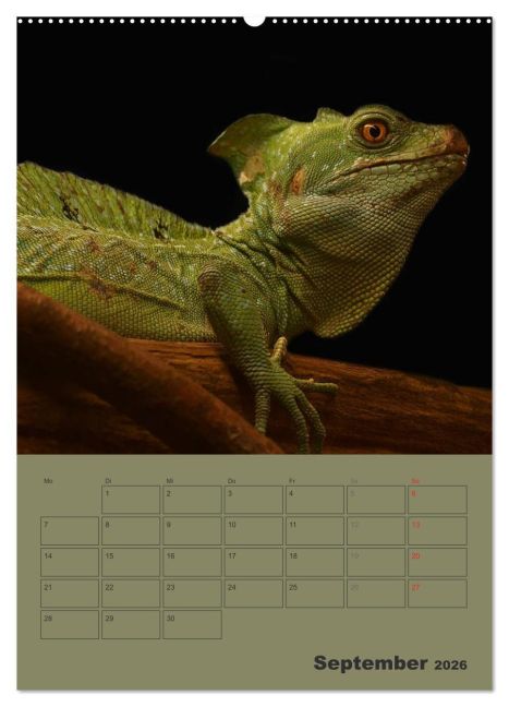 additionalImage13