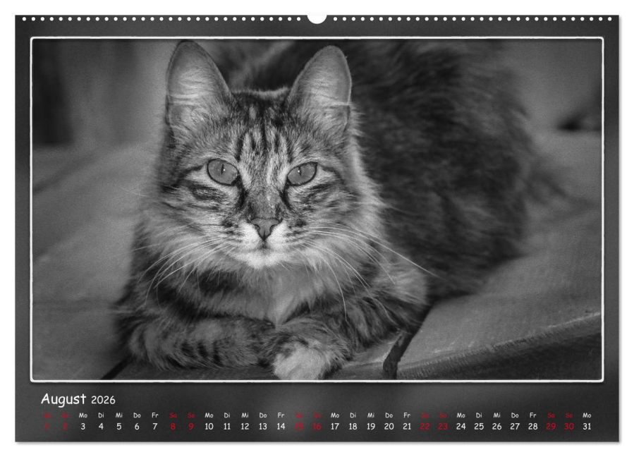 additionalImage13