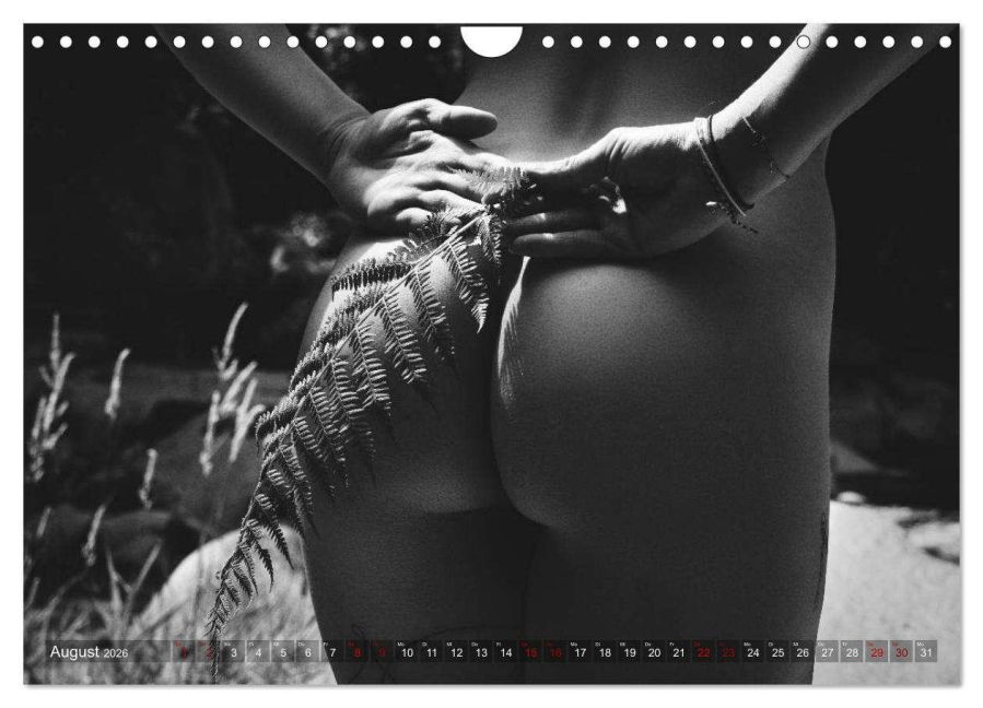 additionalImage13