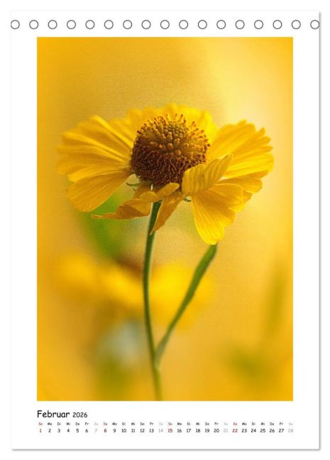 additionalImage7
