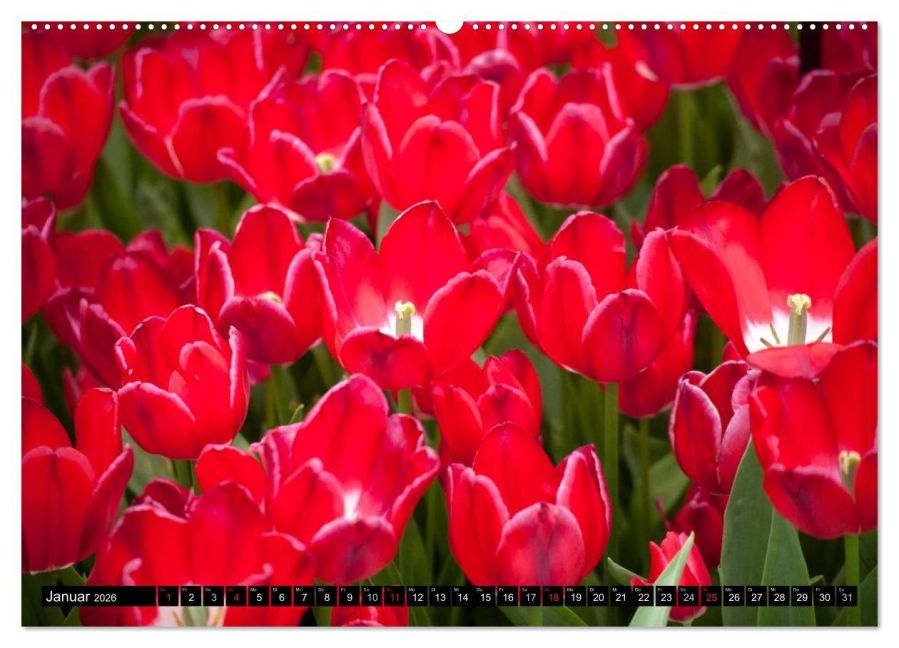 additionalImage6