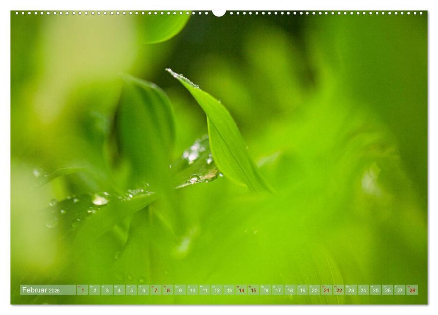 additionalImage7