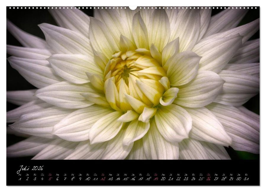 additionalImage12