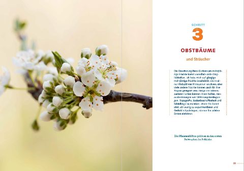 additionalImage8