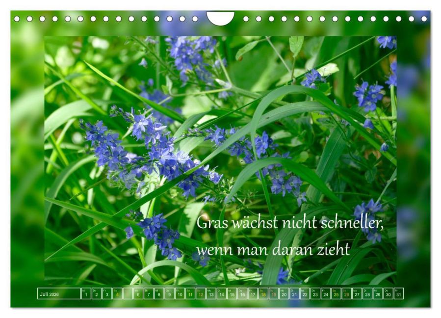 additionalImage12