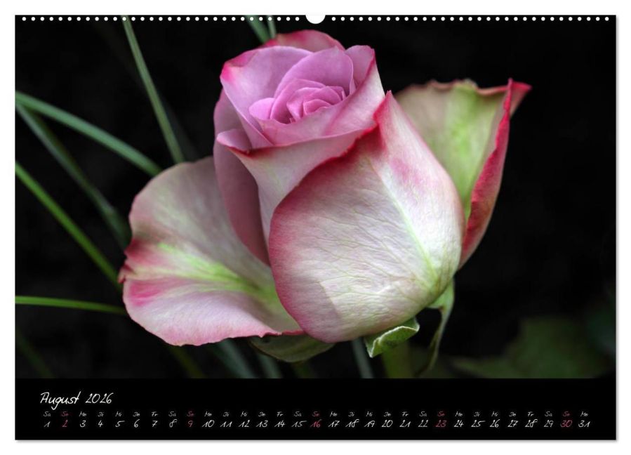 additionalImage12