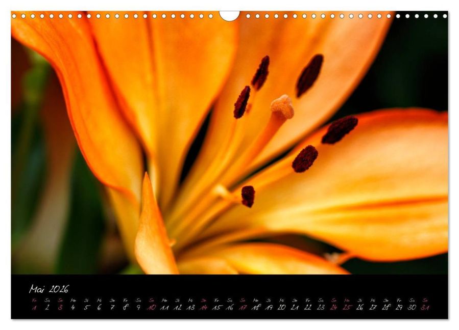additionalImage10