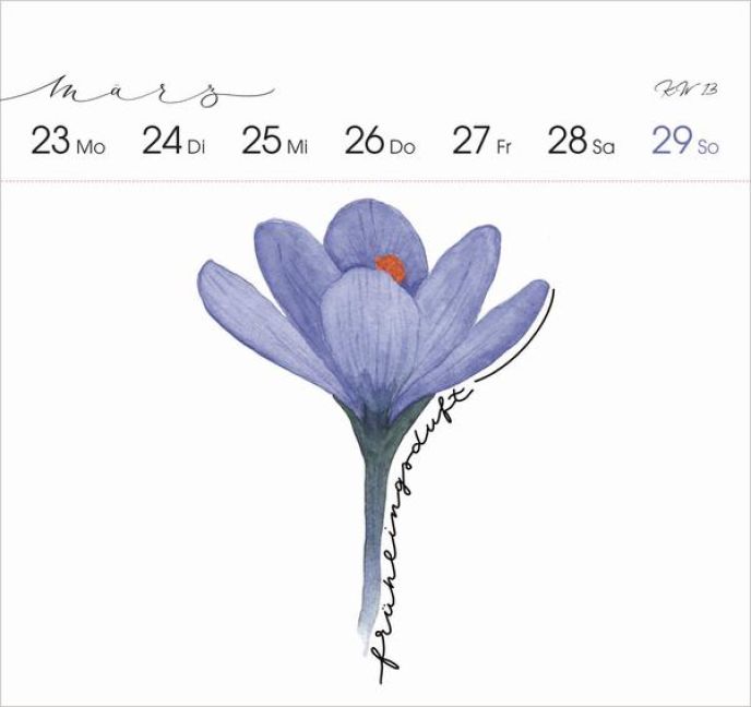 additionalImage13
