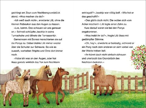 additionalImage2
