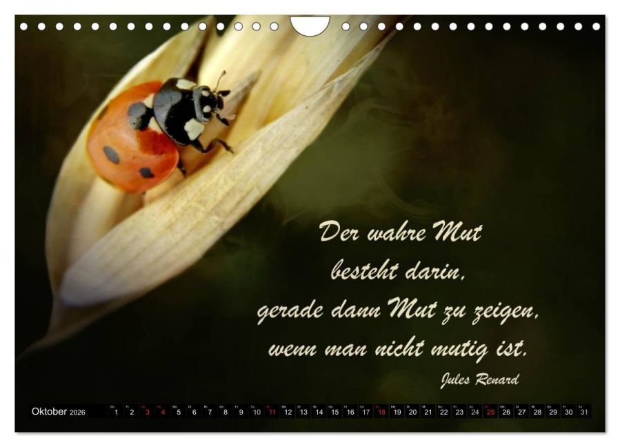 additionalImage2