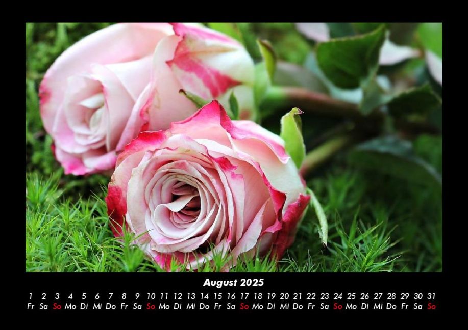 additionalImage12