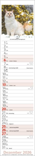 additionalImage12
