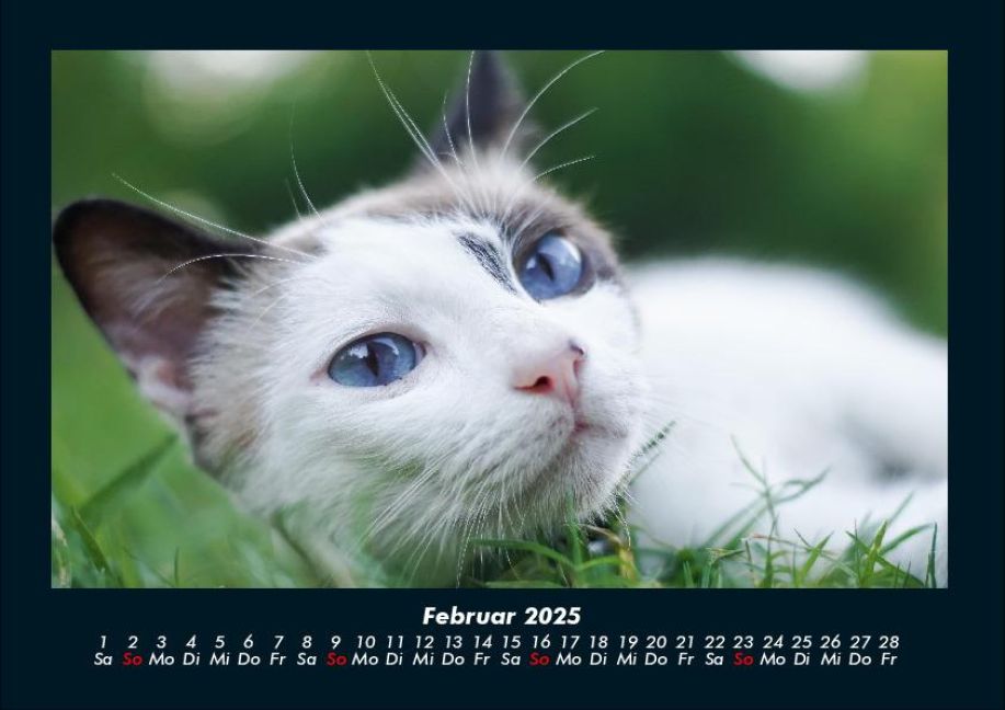 additionalImage6