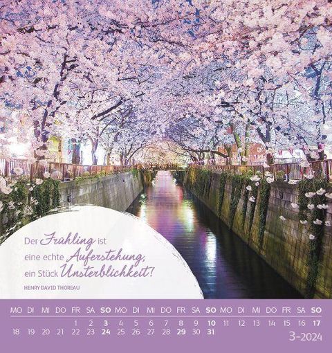 additionalImage3