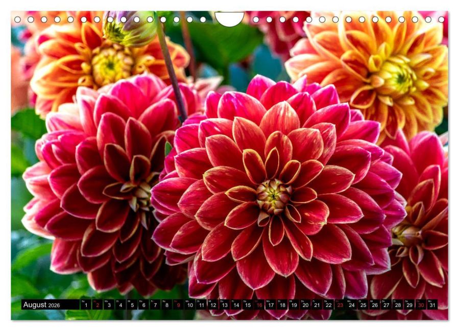 additionalImage13