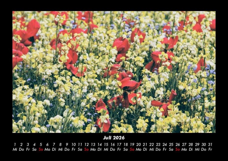 additionalImage11