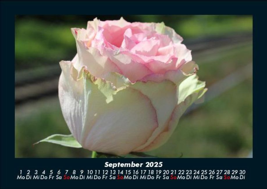 additionalImage1