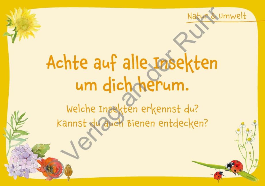 additionalImage4