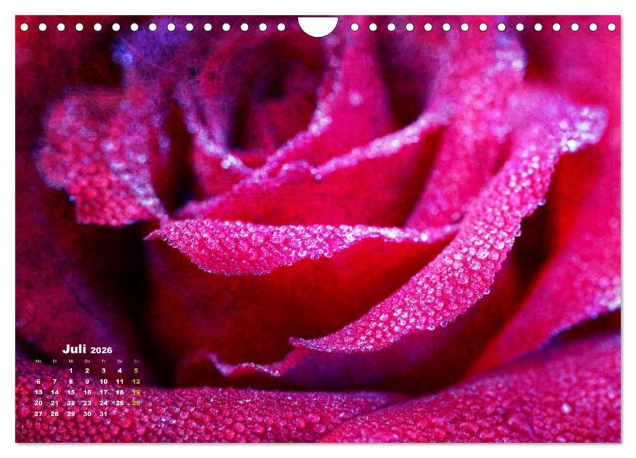 additionalImage12