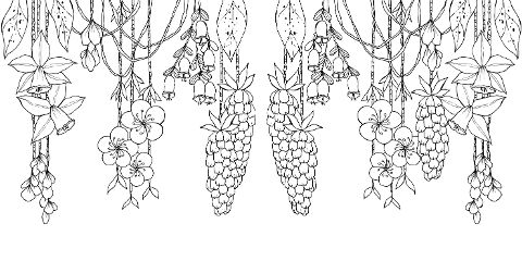 additionalImage5