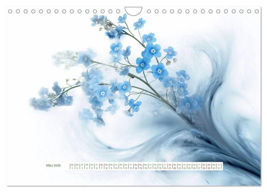 additionalImage8