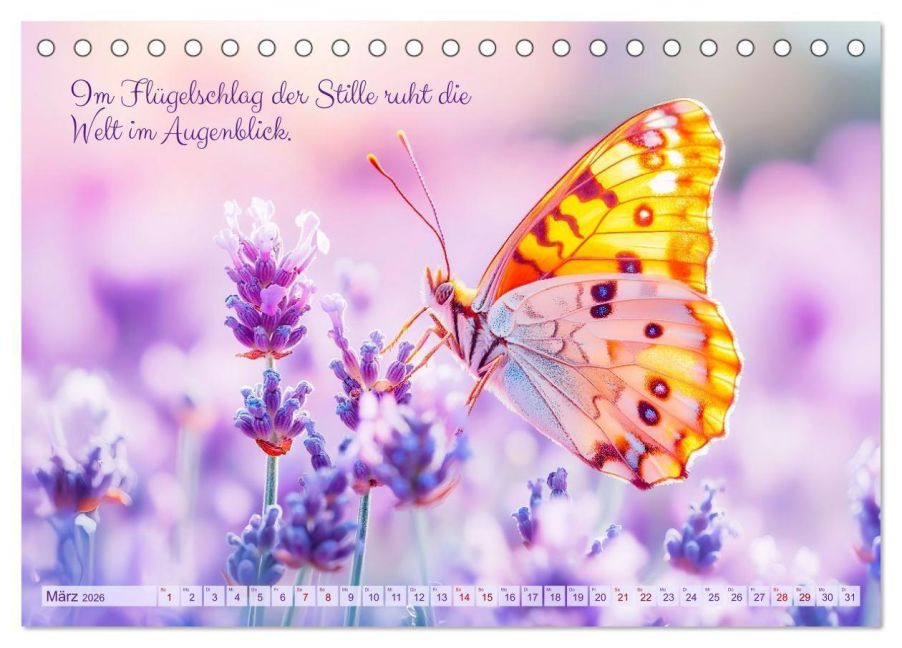 additionalImage8