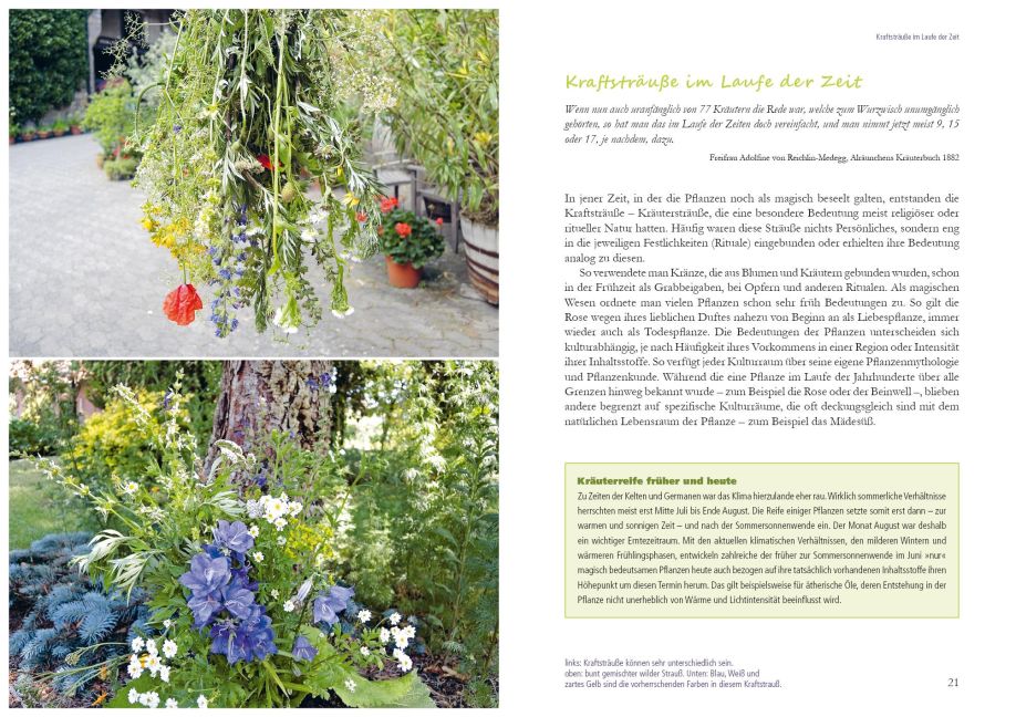 additionalImage1