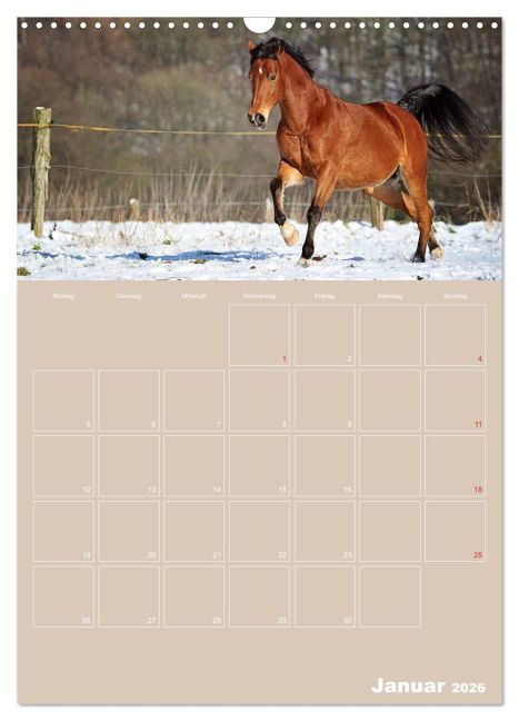 additionalImage6