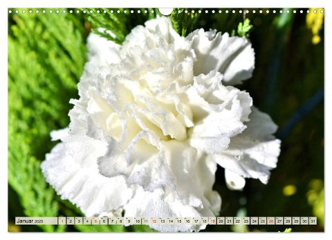 additionalImage6