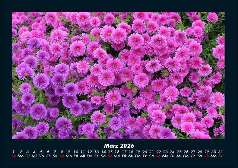 additionalImage7