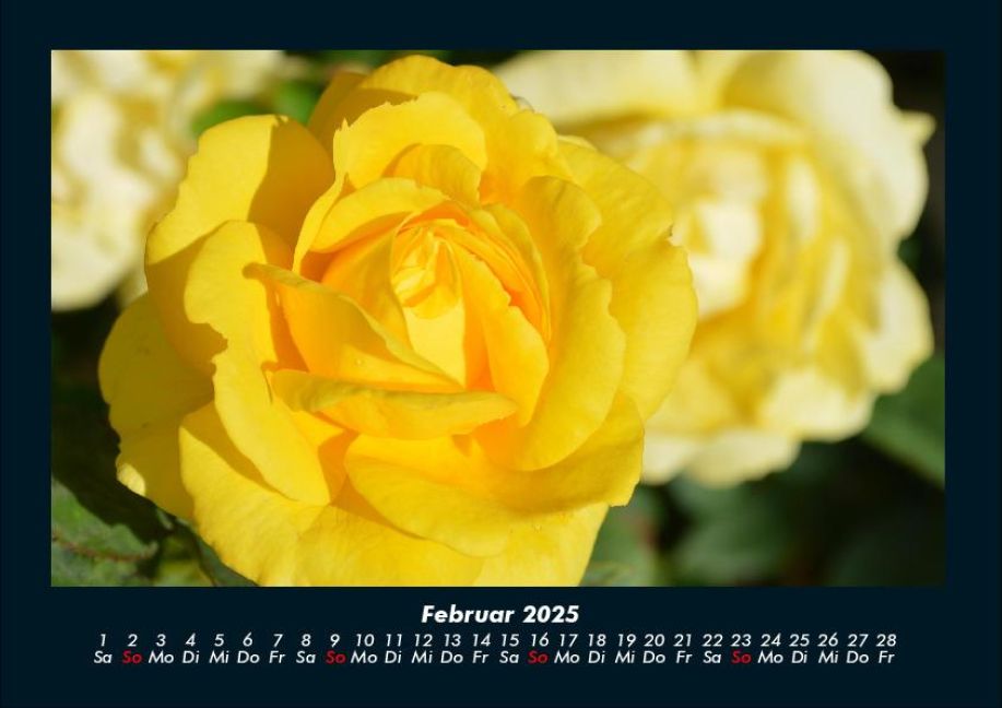 additionalImage6