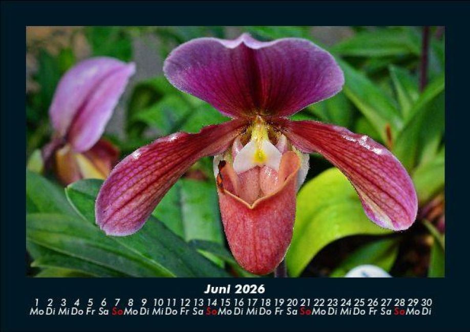 additionalImage10