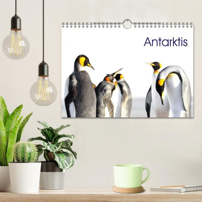 additionalImage1