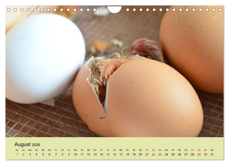 additionalImage13