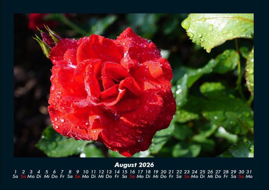 additionalImage12