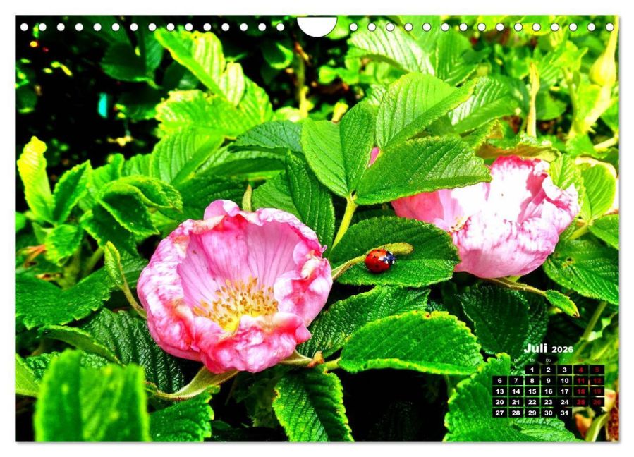 additionalImage12