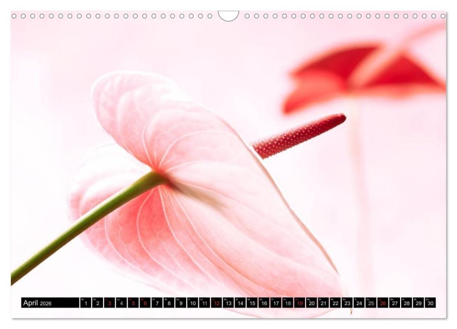 additionalImage9