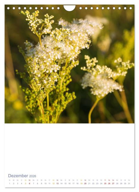 additionalImage4