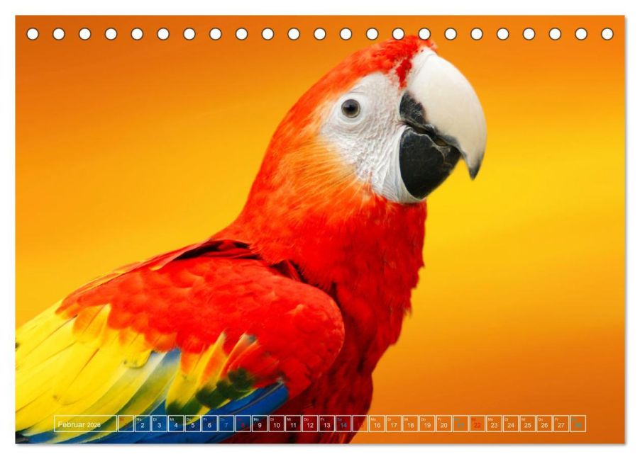 additionalImage7