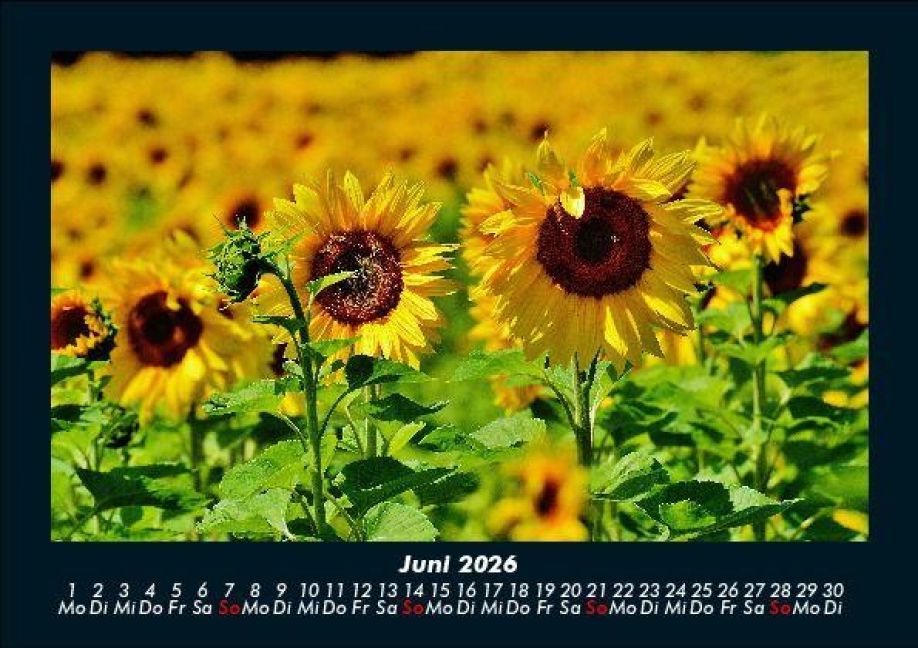 additionalImage10