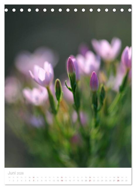 additionalImage11