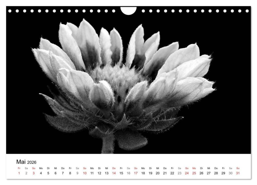 additionalImage10
