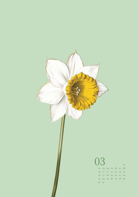 additionalImage3