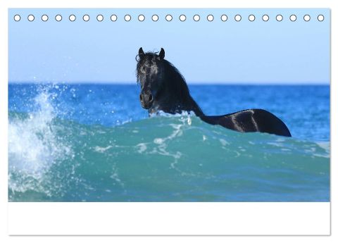 additionalImage3