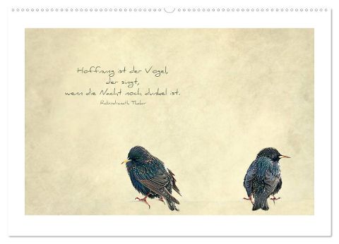 additionalImage5