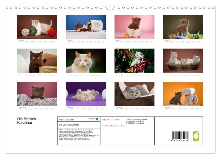 additionalImage5