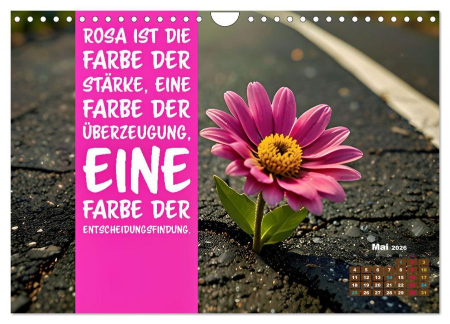 additionalImage10