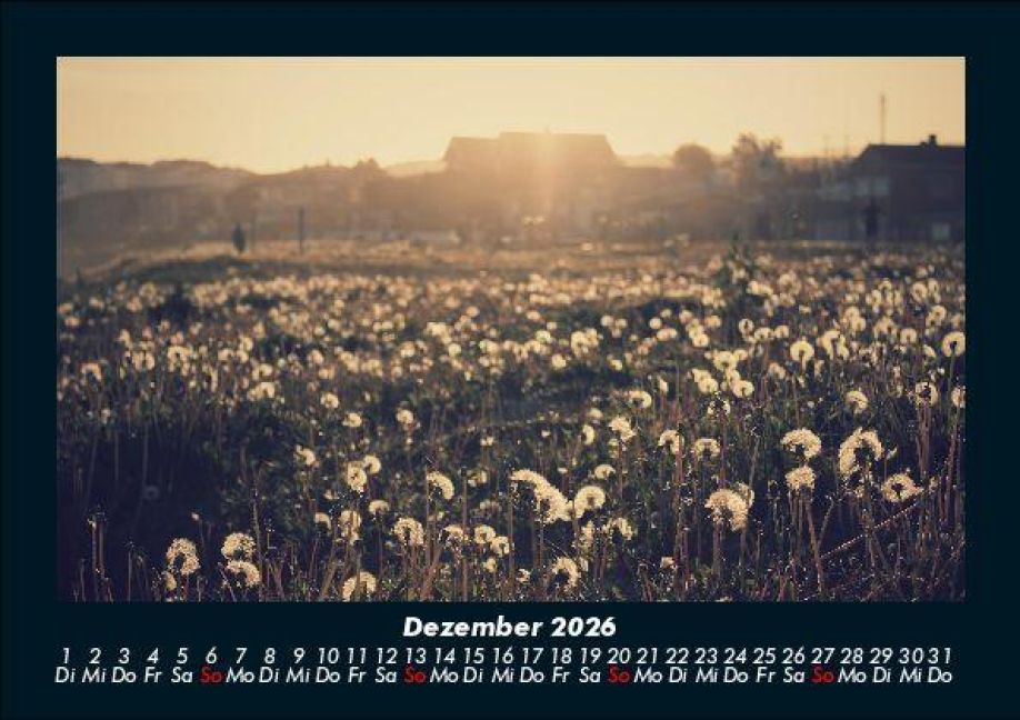 additionalImage4