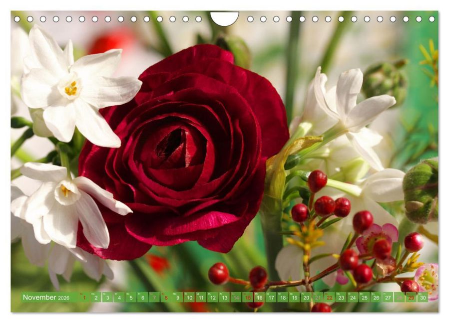 additionalImage3
