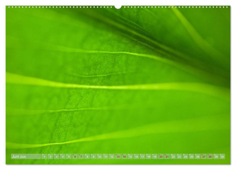 additionalImage11